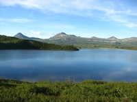 Beautiful ponds along the Denali Highway